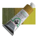 Old Holland - Oil Colour Tube 40ml Old Holland Golden Green